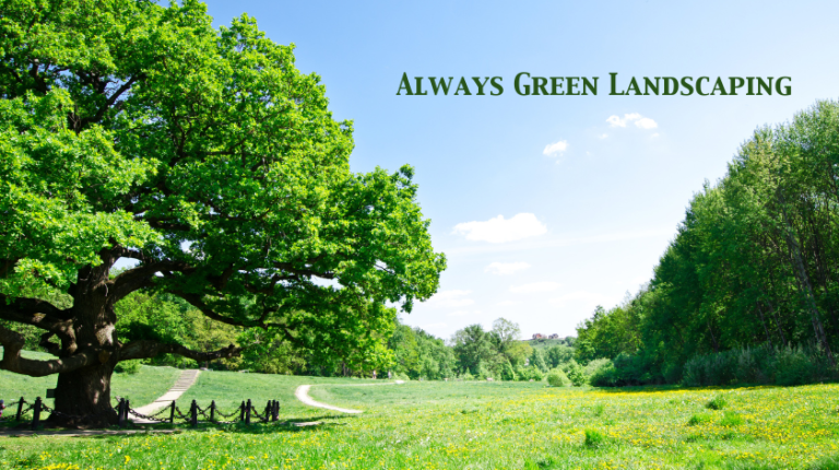 Always Green Landscaping